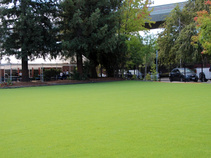 Lawn Services San Marcos, California Gardeners, Commercial Landscape