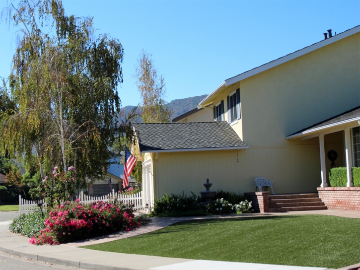 Outdoor Carpet Escondido, California Home And Garden, Front Yard Design