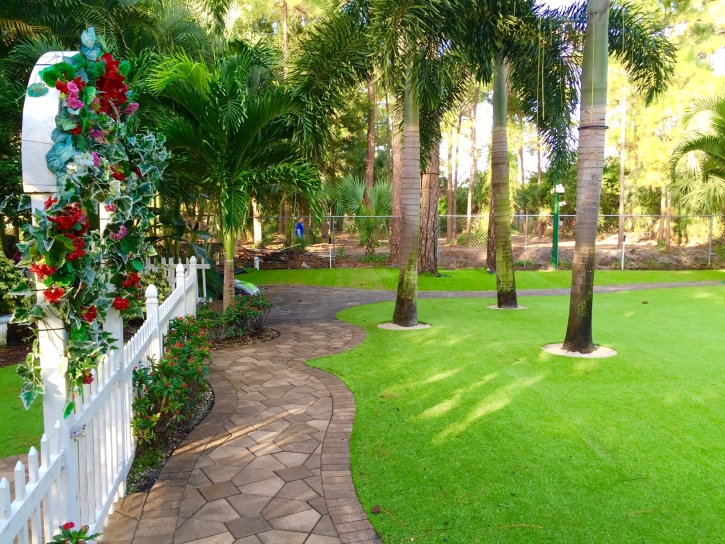 Outdoor Carpet Oceanside, California Landscaping, Backyard Garden Ideas