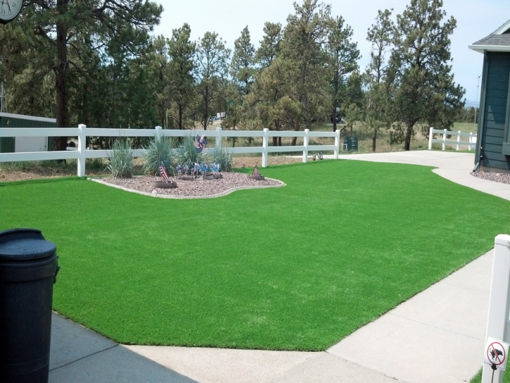 Outdoor Carpet Rancho San Diego, California Garden Ideas, Front Yard Landscaping Ideas