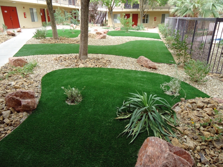 Outdoor Carpet Winter Gardens, California Backyard Playground, Commercial Landscape