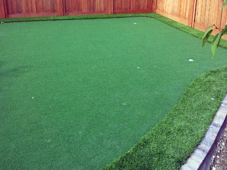 Plastic Grass Jamul, California Gardeners, Backyard Landscape Ideas