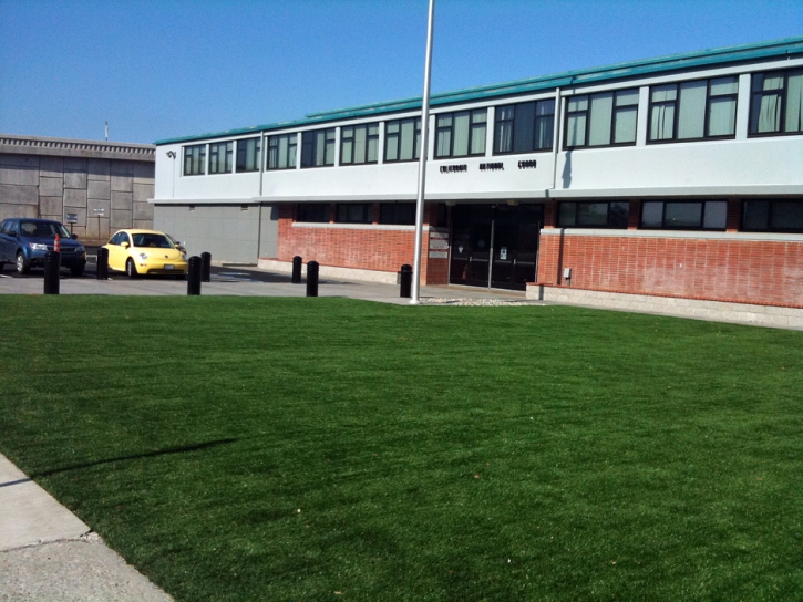 Plastic Grass La Mesa, California Landscaping, Commercial Landscape