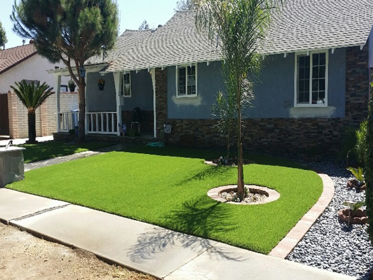 Plastic Grass Poway, California Rooftop, Front Yard Landscaping Ideas