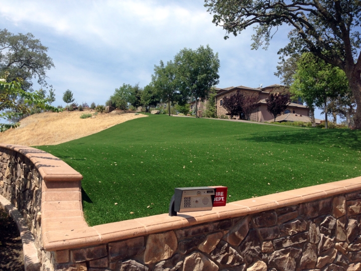 Synthetic Grass Camp Pendleton South, California Roof Top, Front Yard Landscaping Ideas