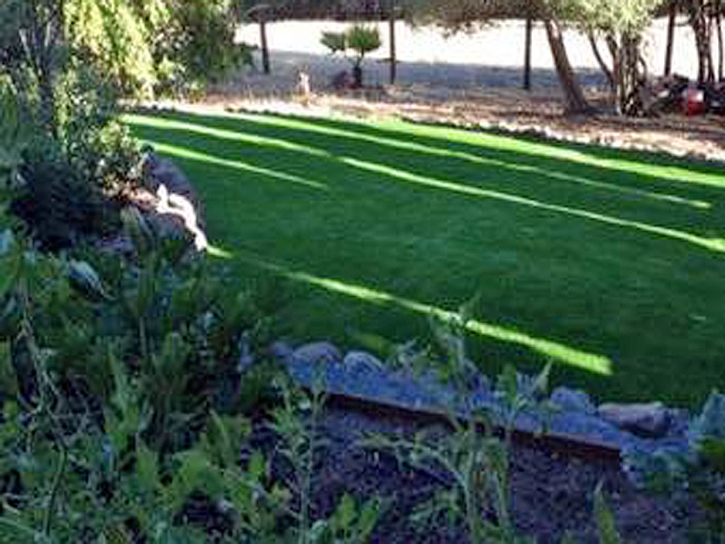 Synthetic Grass Cost Alpine, California Landscaping, Backyard Designs