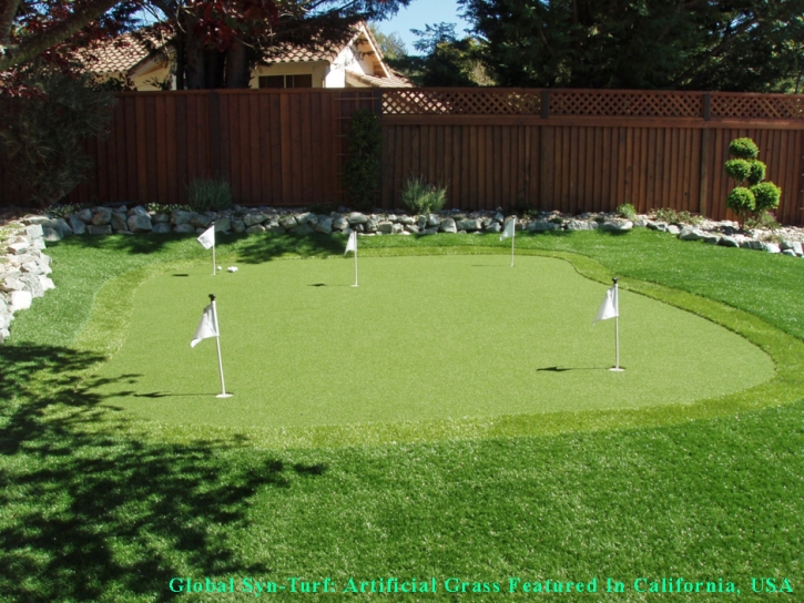 Synthetic Grass Cost Casa de Oro-Mount Helix, California City Landscape, Backyard Designs
