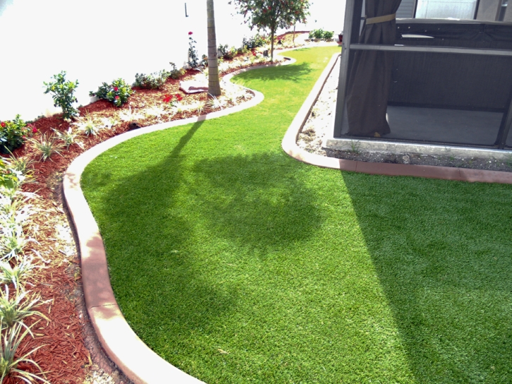 Synthetic Grass Cost Escondido, California Gardeners, Backyard