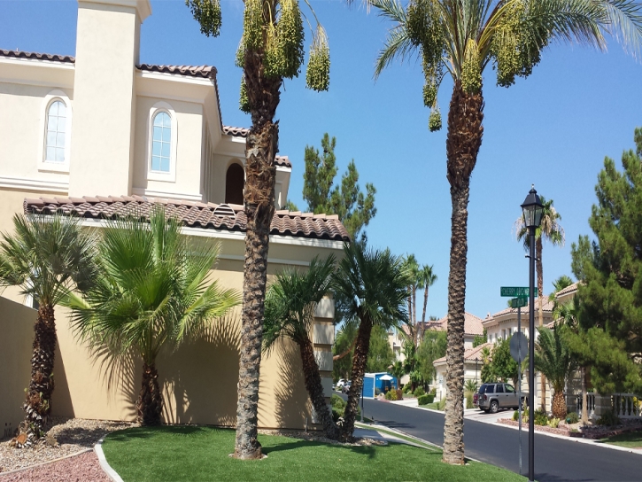 Synthetic Grass Cost Imperial Beach, California Design Ideas, Front Yard