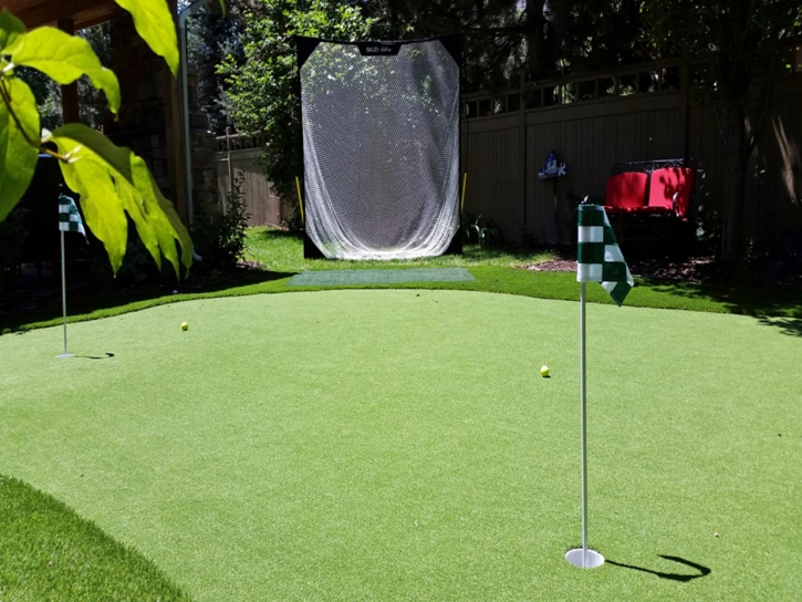 Synthetic Grass Cost Jamul, California Indoor Putting Greens, Backyard Designs