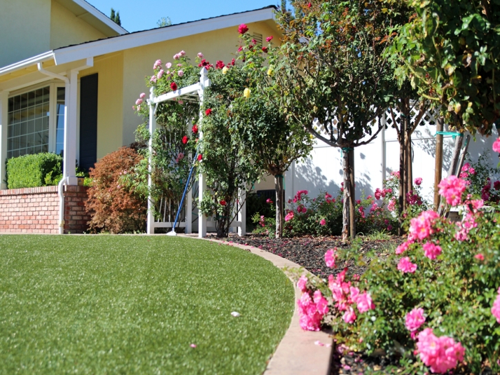 Synthetic Grass Cost Pine Valley, California Landscaping Business, Front Yard Design