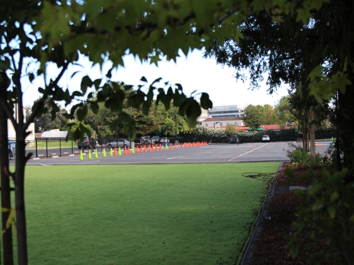 Synthetic Grass El Cajon, California Sports Athority, Commercial Landscape