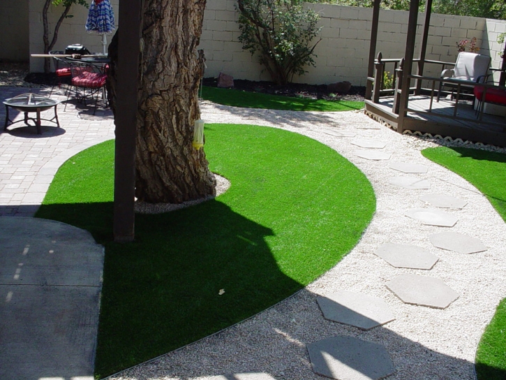 Synthetic Grass Granite Hills, California Lawns, Backyard Landscape Ideas