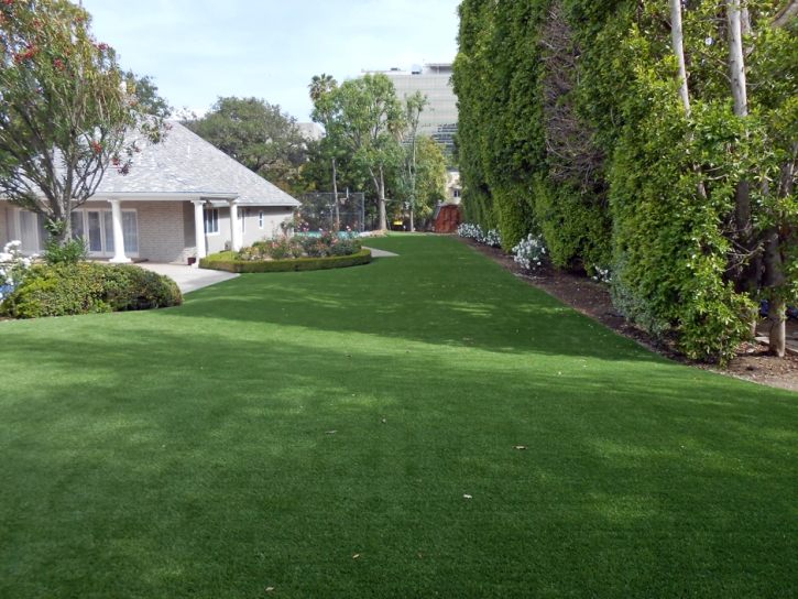 Synthetic Grass Lemon Grove, California Landscaping, Front Yard