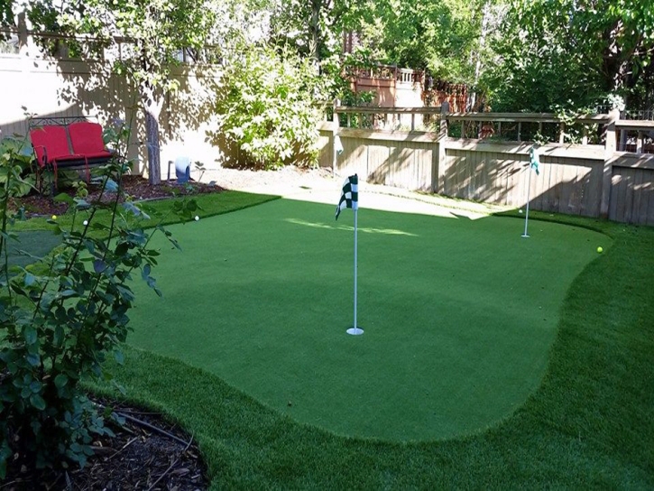 Synthetic Grass Poway, California Landscape Photos, Backyard