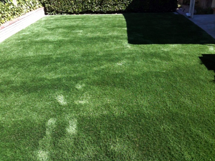 Synthetic Lawn Alpine, California Roof Top, Backyard Ideas