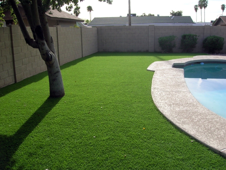Synthetic Lawn Borrego Springs, California Landscape Rock, Beautiful Backyards