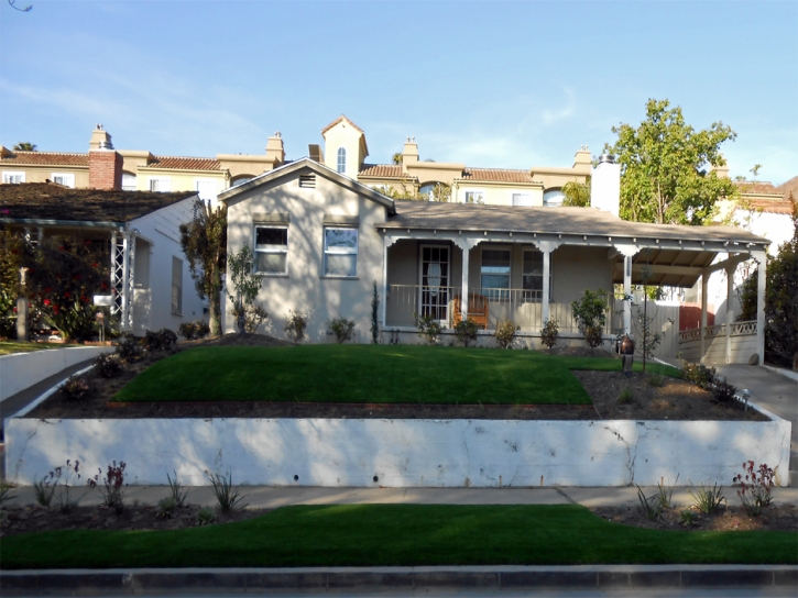 Synthetic Lawn Coronado, California City Landscape, Front Yard Ideas