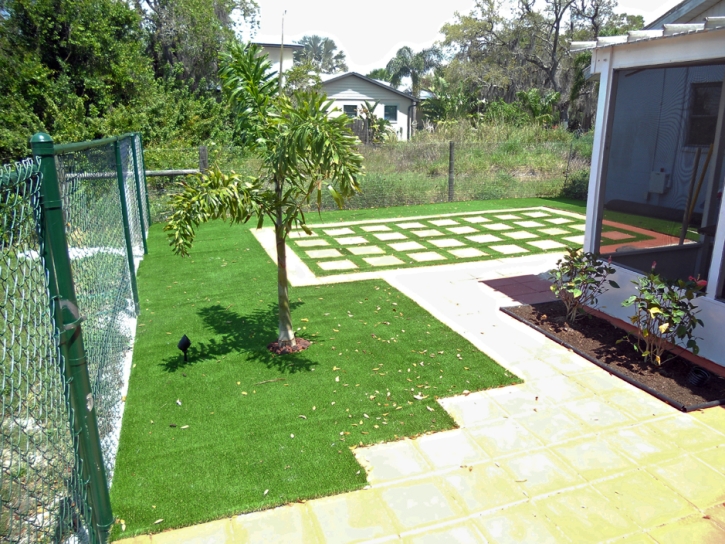 Synthetic Lawn Jamul, California Landscape Design, Backyard Makeover