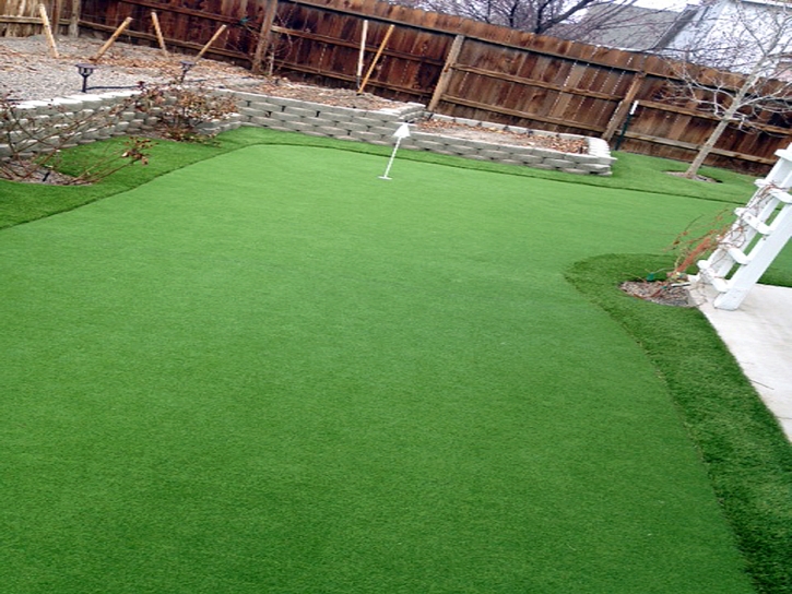 Synthetic Lawn Pine Valley, California Rooftop, Backyard Makeover