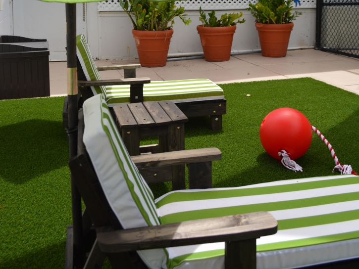 Synthetic Lawn Rancho Santa Fe, California Landscaping Business, Patio