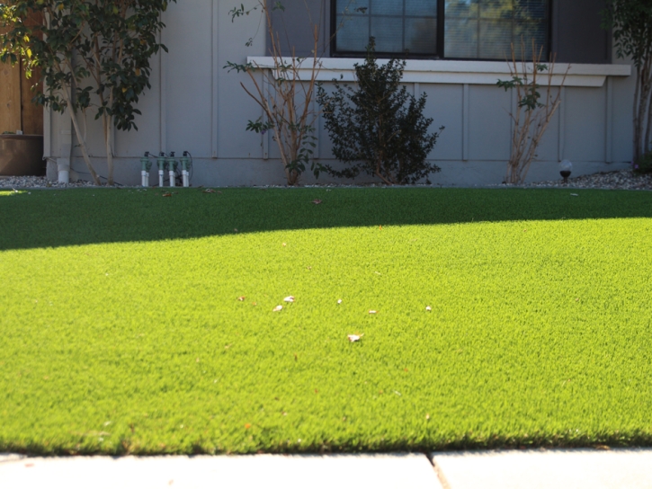 Synthetic Lawn Vista, California Roof Top, Front Yard Landscaping Ideas