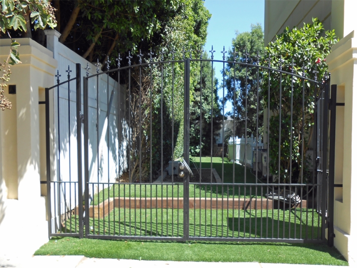 Synthetic Turf Bonita, California Landscape Rock, Small Front Yard Landscaping