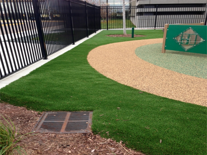 Synthetic Turf Borrego Springs, California Landscape Ideas, Commercial Landscape