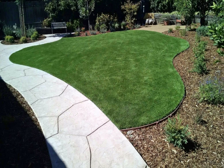 Synthetic Turf Camp Pendleton South, California Lawn And Garden, Front Yard
