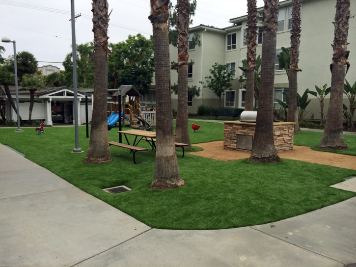Synthetic Turf Escondido, California Landscape Design, Commercial Landscape
