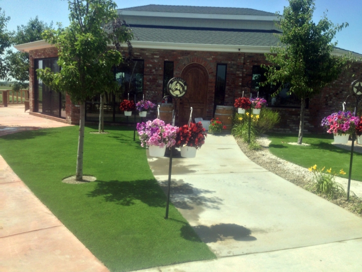 Synthetic Turf Eucalyptus Hills, California Garden Ideas, Commercial Landscape