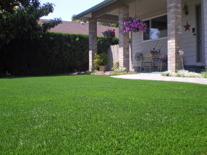 Synthetic Turf Lakeside, California Design Ideas, Front Yard