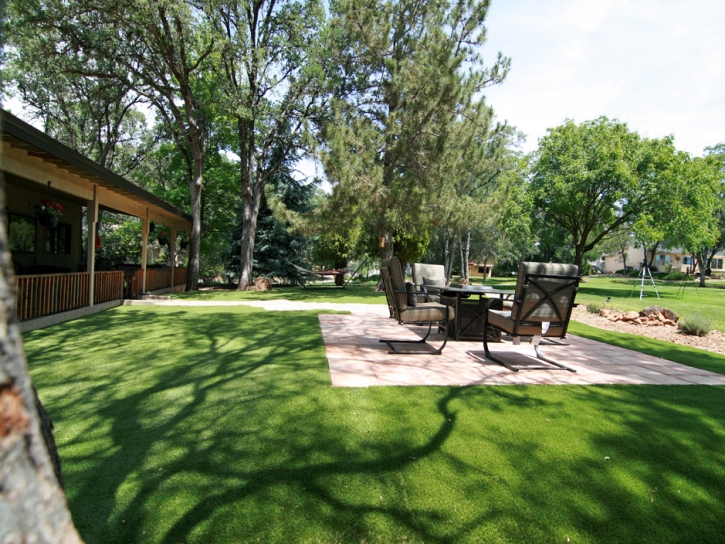 Synthetic Turf Lakeside, California Landscape Rock, Backyard Landscaping Ideas