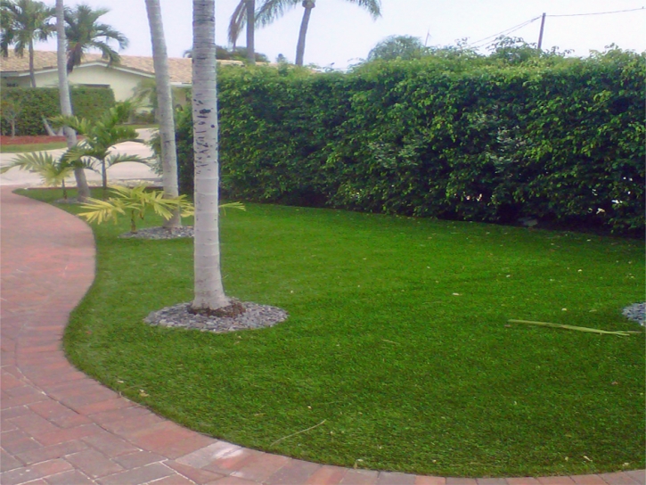 Synthetic Turf National City, California Lawn And Landscape, Front Yard Landscaping Ideas