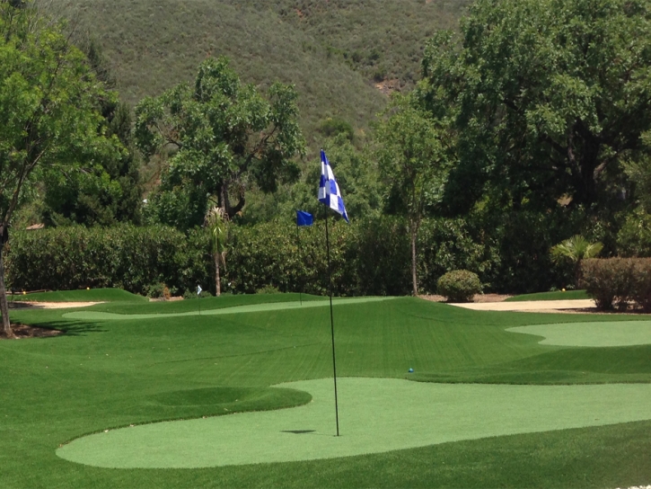 Synthetic Turf Rancho San Diego, California Lawn And Garden