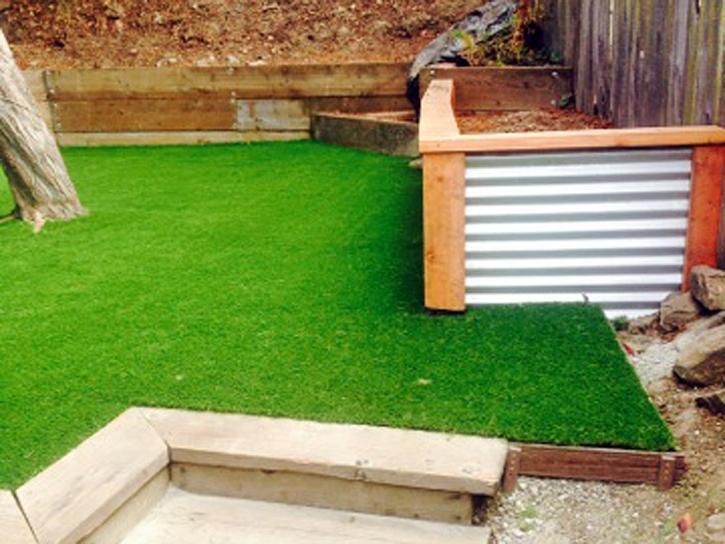 Synthetic Turf Rancho Santa Fe, California Backyard Playground, Backyard Landscaping
