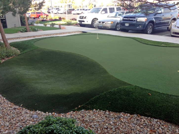 Synthetic Turf Supplier Encinitas, California Artificial Putting Greens, Commercial Landscape