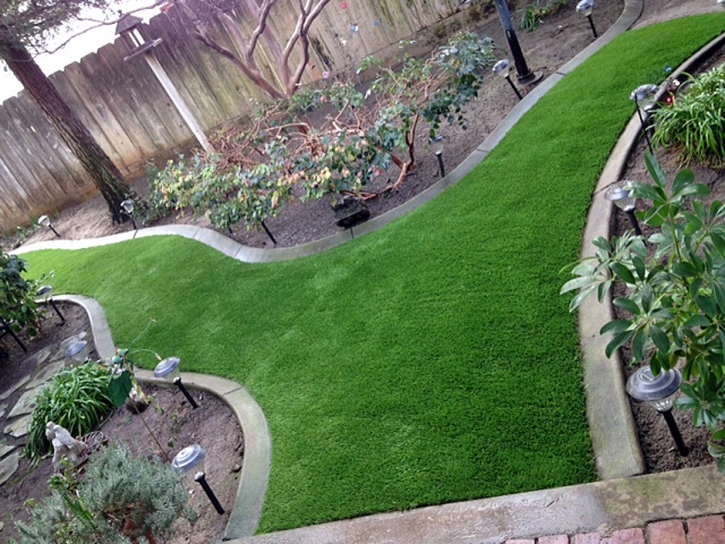 Synthetic Turf Supplier Fallbrook, California Landscape Rock, Backyard Makeover