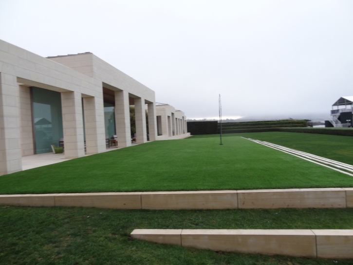 Synthetic Turf Supplier Harbison Canyon, California City Landscape, Commercial Landscape