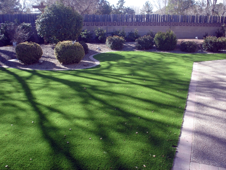 Synthetic Turf Supplier La Mesa, California Landscape Ideas, Small Front Yard Landscaping