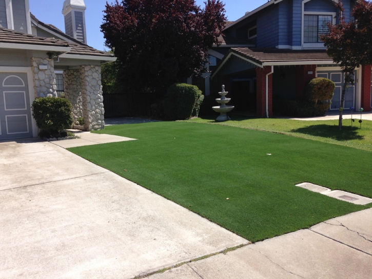 Synthetic Turf Supplier La Presa, California Landscape Ideas, Small Front Yard Landscaping