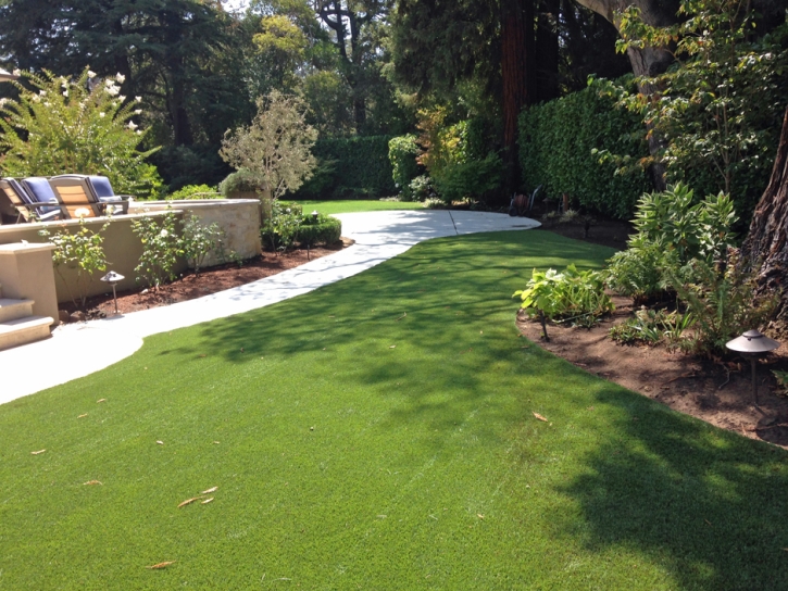 Synthetic Turf Supplier Lakeside, California Landscaping, Beautiful Backyards