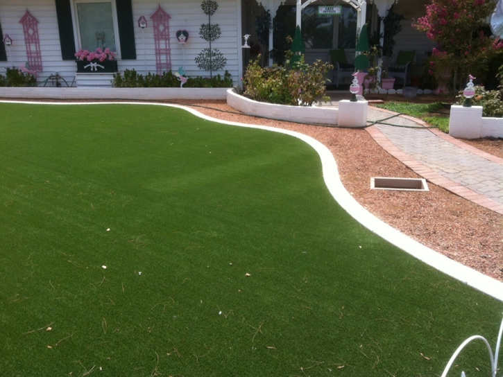 Synthetic Turf Supplier Pine Valley, California Landscape Ideas, Front Yard Ideas