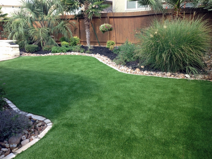 Turf Grass Camp Pendleton North, California Cat Grass, Backyard