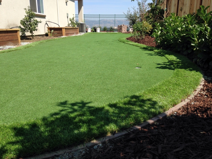 Turf Grass Carlsbad, California Garden Ideas, Backyards