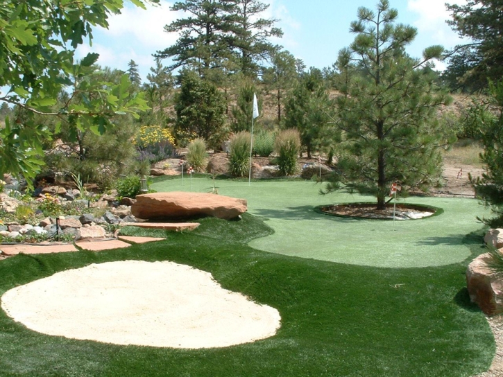 Turf Grass Escondido, California Putting Greens, Backyard Ideas