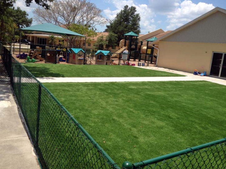 Turf Grass Jacumba, California Roof Top, Commercial Landscape