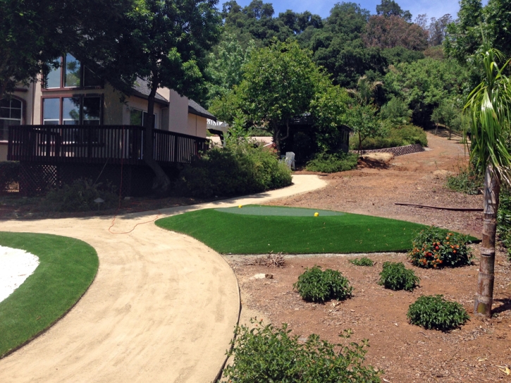 Turf Grass Lakeside, California Indoor Putting Greens, Front Yard Ideas