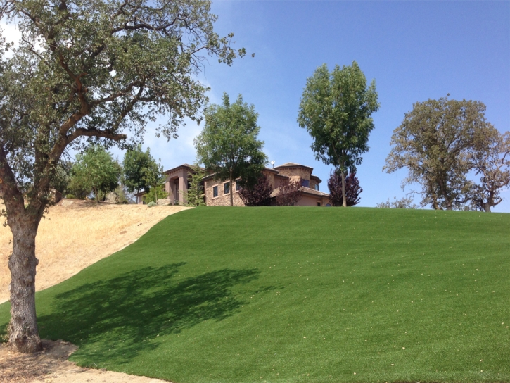 Turf Grass National City, California Landscape Design, Small Front Yard Landscaping
