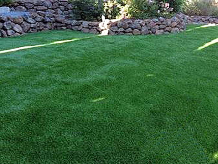 Turf Grass Rainbow, California Cat Playground, Backyard Landscaping